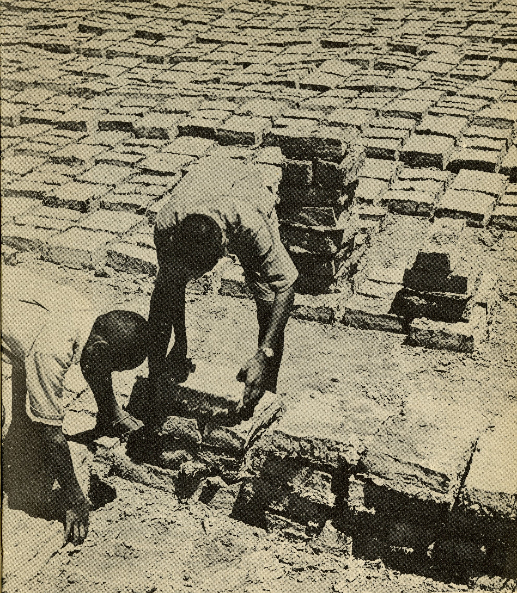 Figure 5. Mudbrick preparation by refugee students, 1953. From Bootstrap: The Arab Development Society’s Jordan Valley Project (Near East News Association, Beirut, 1953)