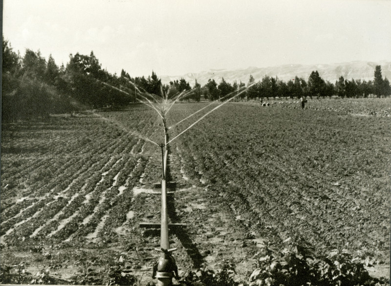 Figure 9. Irrigation system at the Alami Farm School, Jericho. Agricultural fields under sprinkler irrigation, demonstrating land rehabilitation efforts. Photograph Album The Arab Development Society, Jericho -Jordan, Middle East Centre Archive, St Antony’s College, Oxford (5/1/34)
